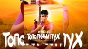 Хабиб - Тополиный пух (remix DJ Crash)