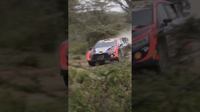 Dani Sordo - Turning up the Volume! | WRC Safari Rally 2023.