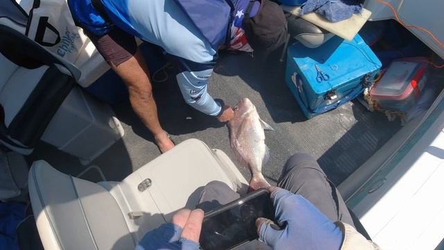 Fishing East of Stradbroke, the Reality. смотреть онлайн