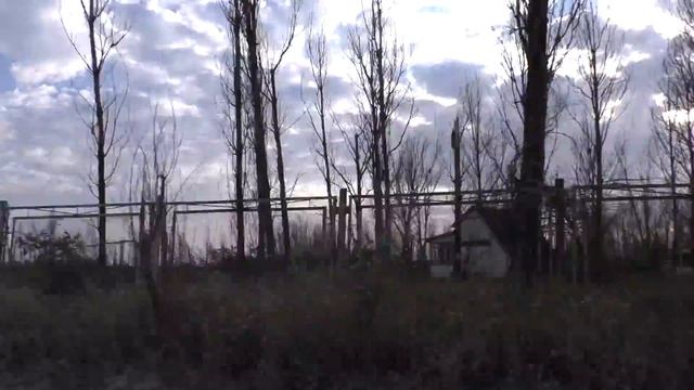 Ейск Должанка станица Должанская. Пляжи Ейска. Курорты краснодарского края