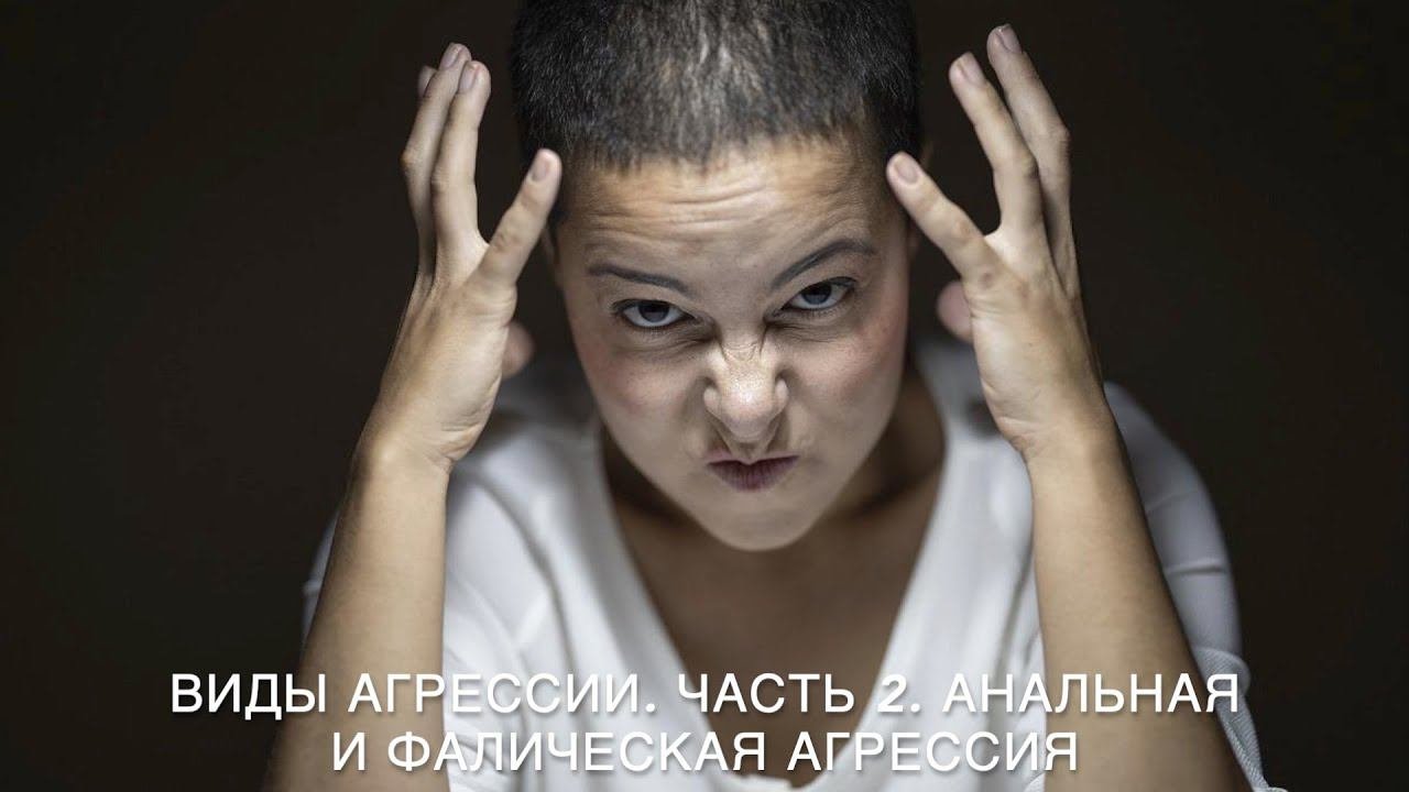 Виды агрессии. Часть 2. Анальная и фаллическая  агрессия