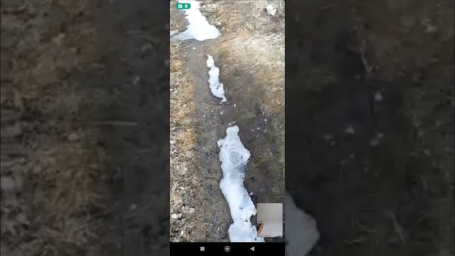 Найда гуляет.mp4
