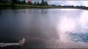 Нижний Енангск - Кичменгский Городок или АВГУСТ 18-го