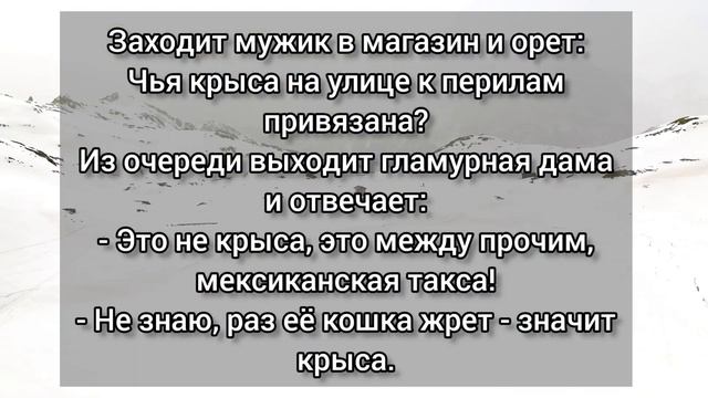 Мужик в гостях у тёщи пристаёт к её дочке Новый сборник анекдотов от Василича смотреть онлайн