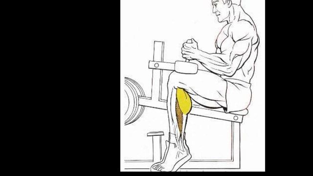 Работаем над мышцами икр