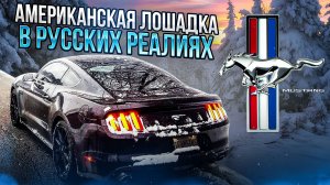 FORD MUSTANG 2.3 ECOBOOST STAGE 1. ЖЕСТКО ВАЛИТ ИЛИ РУХЛЯДЬ?