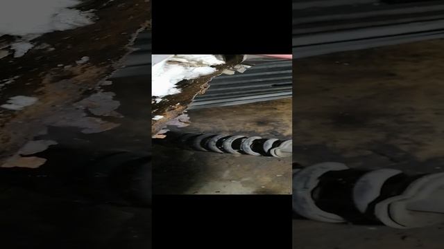 VID_20240222_155429.mp4