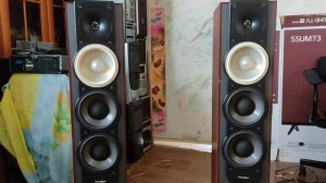 Paradigm Monitor 7v.5 & YAMAHA R-N500 Test #4