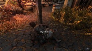 Brawler: Gain Unarmed Damage for Winning Brawls Skyrim Mod