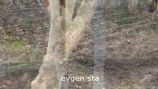 ПРЕДЗИМНИЙ полив САДА. За и против. смотреть онлайн