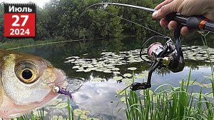 МОРМЫШКА НАЧАЛО ПУТИ МОЕГО