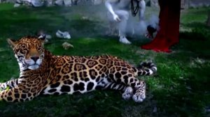 Мудрости жизни 1 Омар Хайям