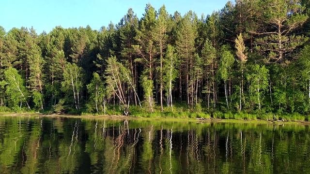 Картакой