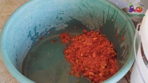 ОТКРЫВАЕМ СТРАШНУЮ ТАЙНУ! КАК ПРОИЗВОДЯТСЯ СЕМЕНА ГИБРИДОВ