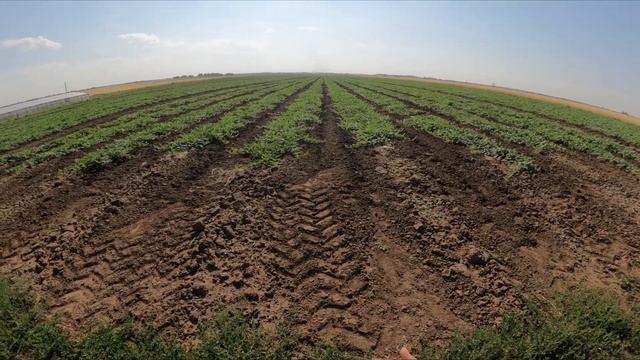 Разогнали плеть ??☀️ 9 07 23 смотреть онлайн