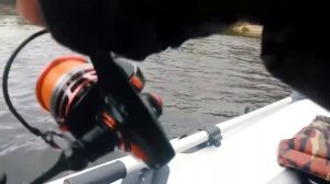 Ловля щуки на спиннинг осенью | Силиконовые приманки и оснастки