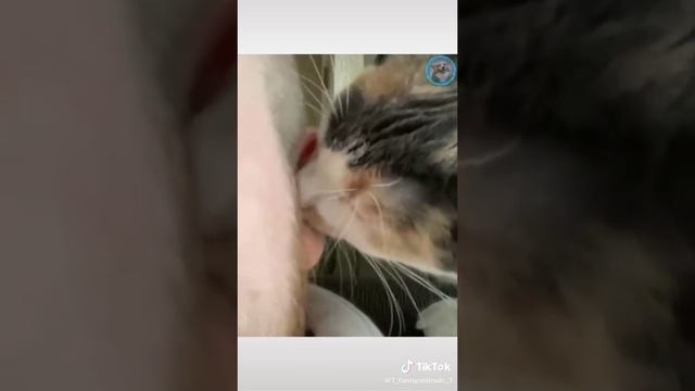лютые приколы посмотрите
