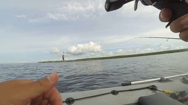 Рыбалка на Волге. Ловля судака и окуня на джиг и тейлспиннеры.