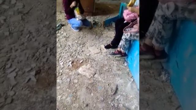 ШООК НАСТУПИЛА НА ГВОЗДЬ ? смотреть онлайн