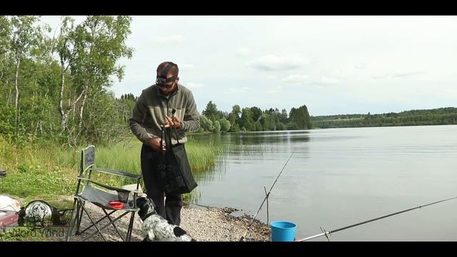ПОДЛЕЩИКИ НА ФИДЕР и ПОПЛАВОК на озере. Рыбалка с берега. Фидерная и поплавочная ловля. смотреть онлайн