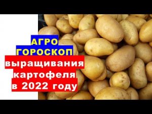 Агрогороскоп выращивания картофеля в 2022 году