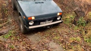 Нива раздатка 3 к 1