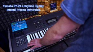 Yamaha SY99 & Strymon Big Sky - Amazing Internal Presets