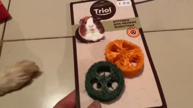 Покупки из зоомагазина. Лакомства и игрушки для грызунов смотреть онлайн