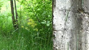 Как включить телевизор без электричества