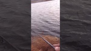 Полный ролик на канале: РЫБАЛКА В ЛЮТЫЙ ШТОРМ ловля щуки на воблеры с берега ЗАКРЫТИЕ СЕЗОНА