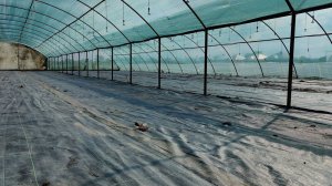 Строим рассадник для клубники