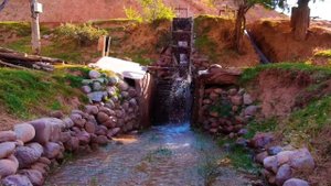 Сари Хосор Пештова