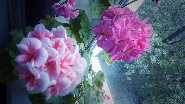 2 May 2020 смотреть онлайн