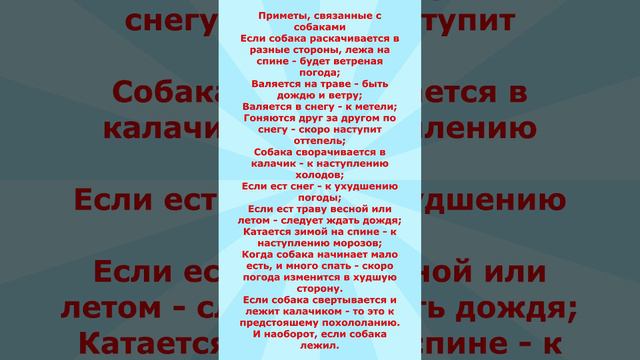 Приметы связанные с собаками