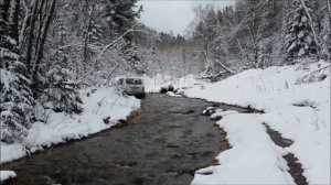 По заснеженной тайге на Ниве