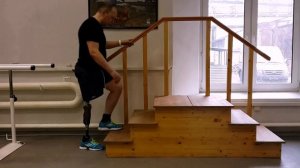 RHEO KNEE 3 в России