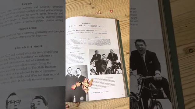 The big reveal take 2! New for 2022 “bring me sunshine” @david_austin_roses смотреть онлайн