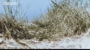 Пока люди сражаются друг с другом, их можно держать в рабстве