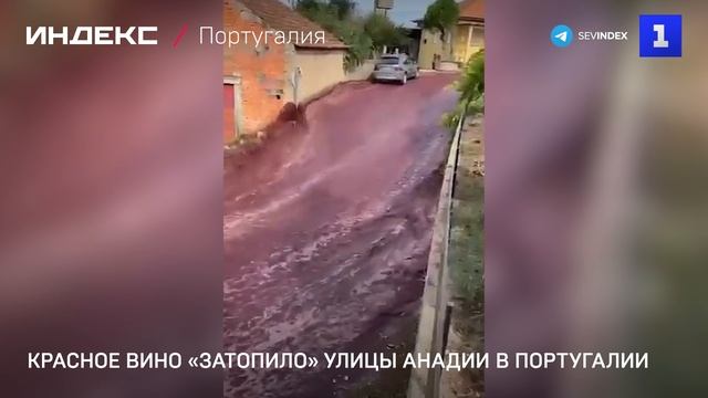 Красное вино «затопило» улицы Анадии в Португалии