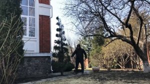 #стрижкатуи #туясмарагд #туяспираль #topiary Как стричь спираль с туи Смарагд?