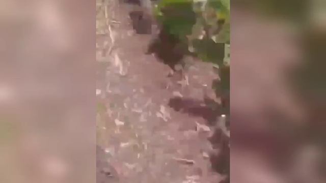 Когда не прочитал инструкцию по эксплуатации 2С7 Пион.всу смотреть онлайн