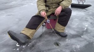 Пестовское водохранилище. Первый лед,ноябрь 2016