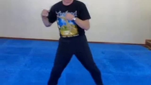 2009, удары ногой с вращением. Пшеничников Павел. смотреть онлайн