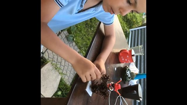 Сова из шишек смотреть онлайн