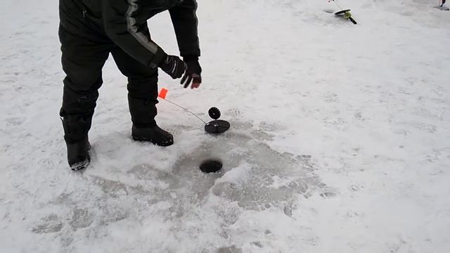 Рыбалка в Видной Усадьбе!????????? смотреть онлайн