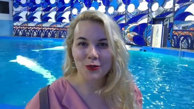 Исполнение мечт. Дайвинг с дельфинами. Радость близких смотреть онлайн