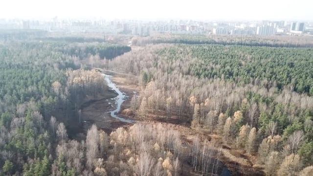 Ржевский лесопарк.