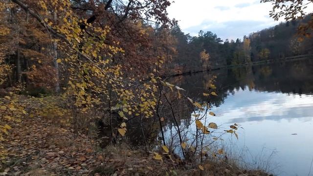 Божественно-прекрасное осеннее озеро смотреть онлайн