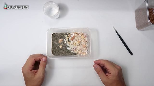 Пляжный террариум для Скорпиона | Террариум Своими Руками смотреть онлайн