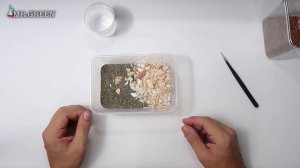 Пляжный террариум для Скорпиона | Террариум Своими Руками